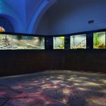 Una veduta dell'acquario